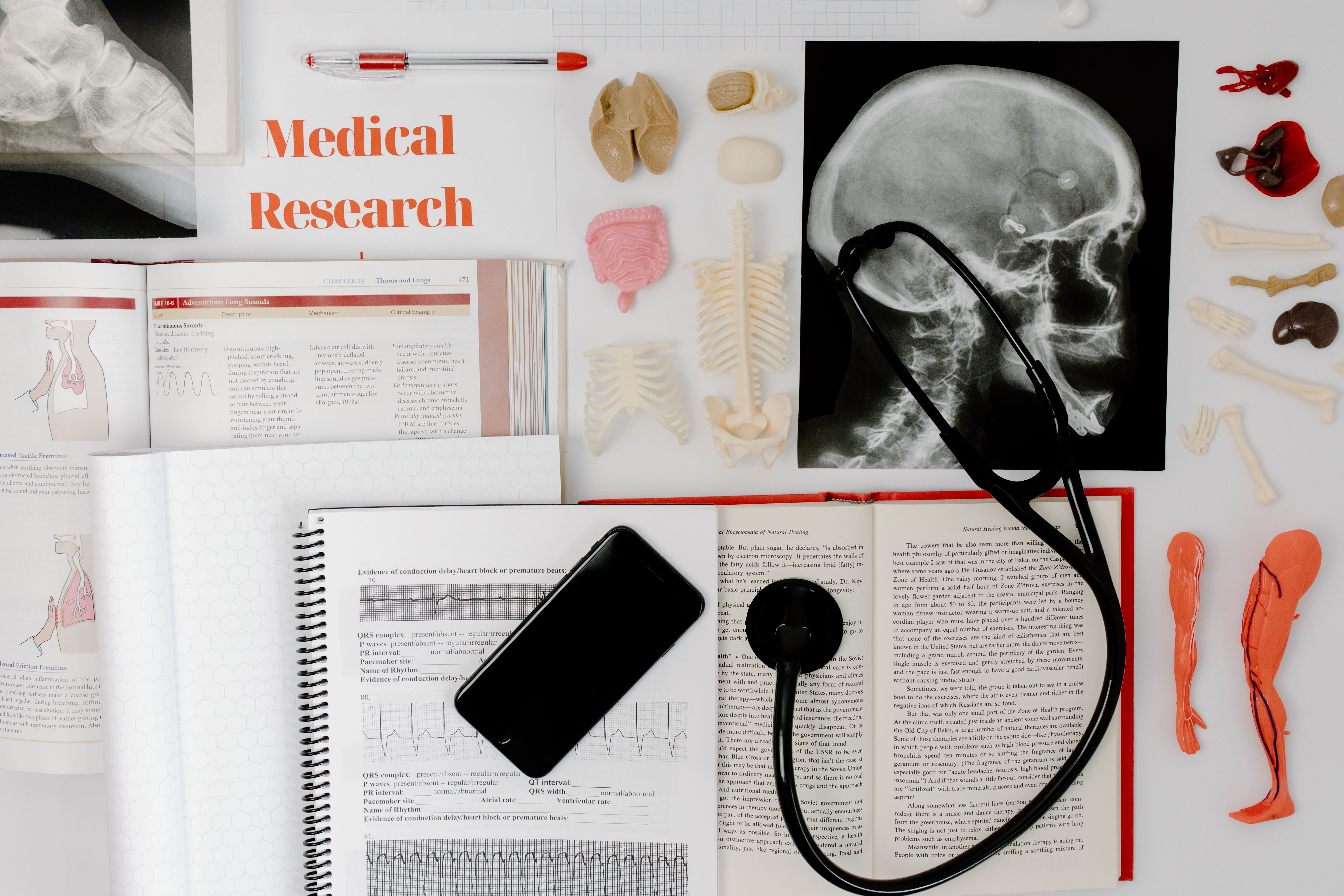 Course Image AntrB031 : Ķermeņa un medicīnas antropoloģija