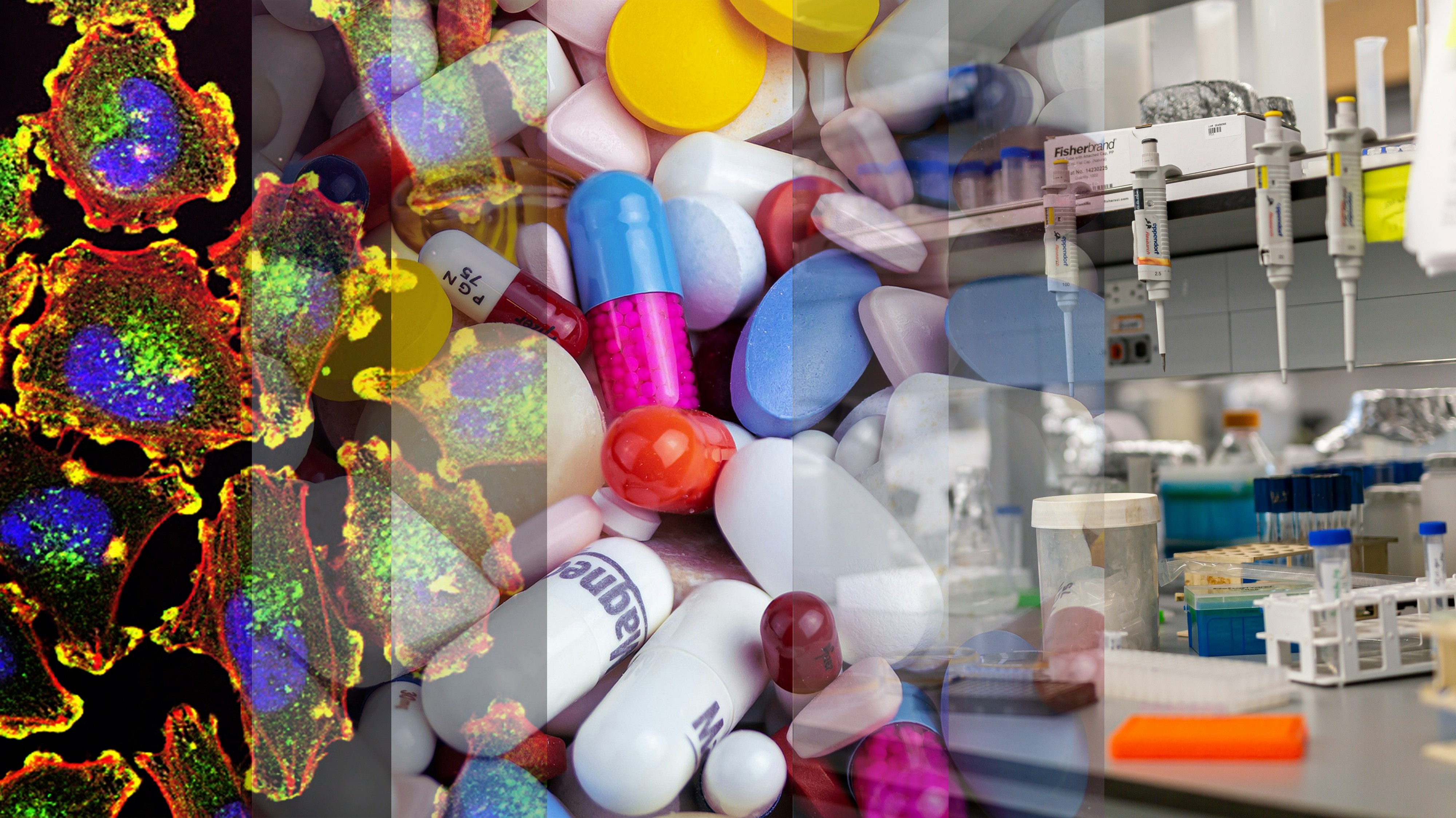 Course Image KimiM025 : Bioanalītiskās un farmaceitiskās analīzes