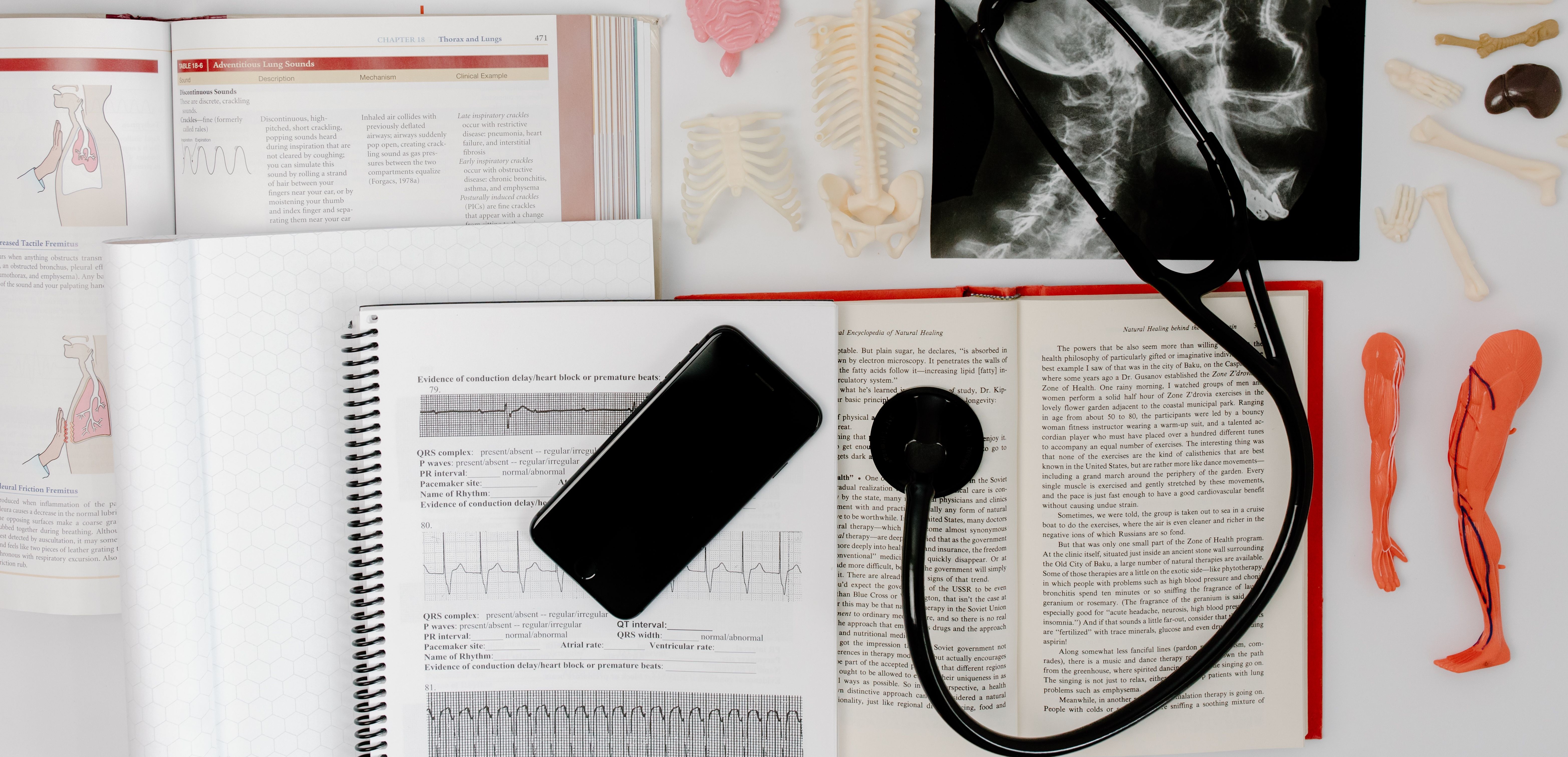 Course Image MediB055 : Anatomija un fizioloģija