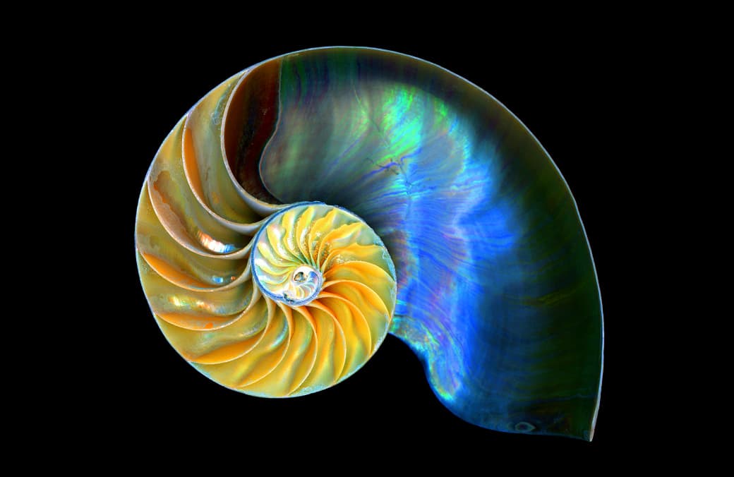 Course Image MakZB086 : Dizaina teorētiskie pamati 