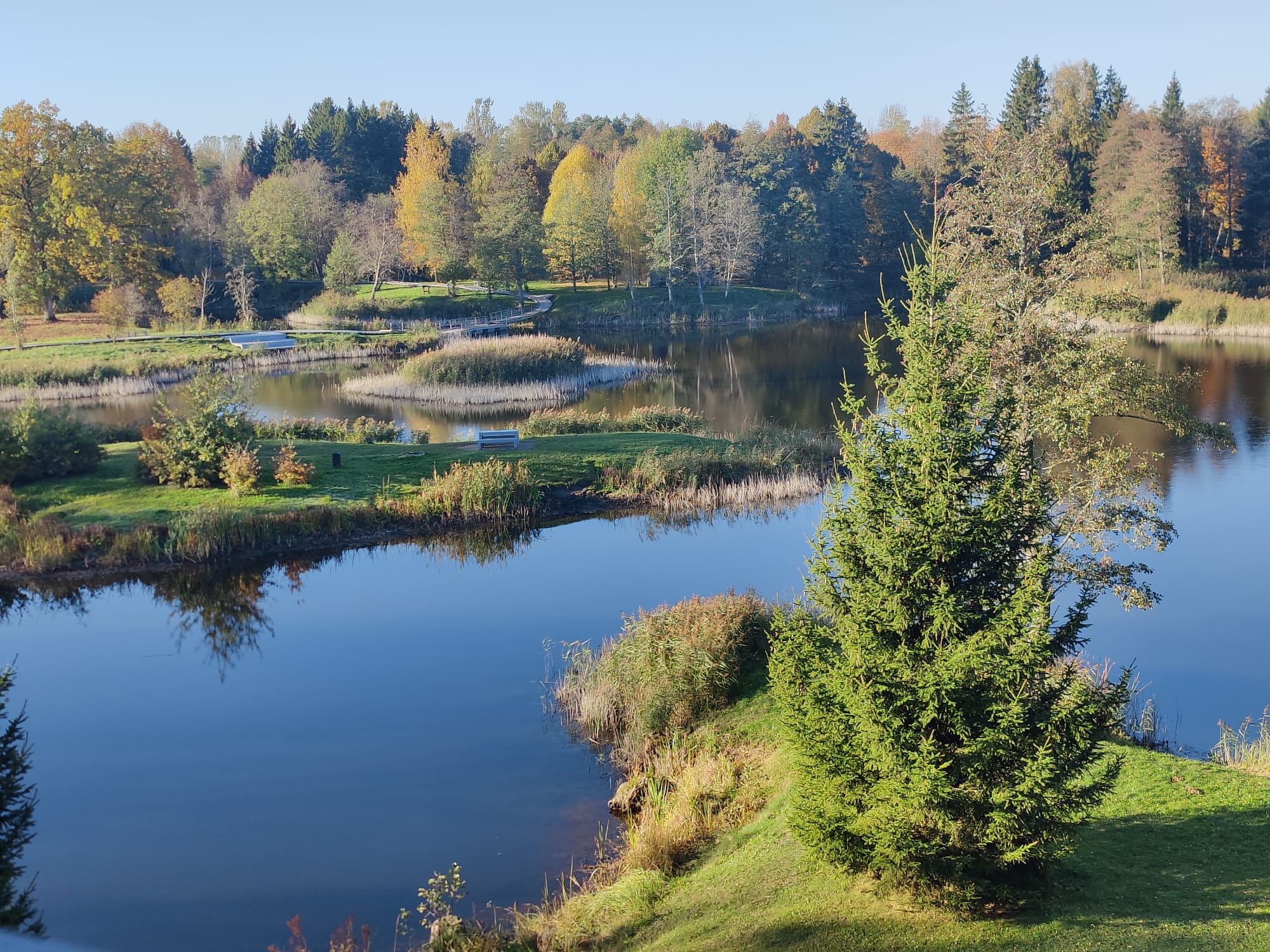 Course Image VidZM014 : Ekosistēmu ekoloģija ar socioekoloģijas pamatiem 