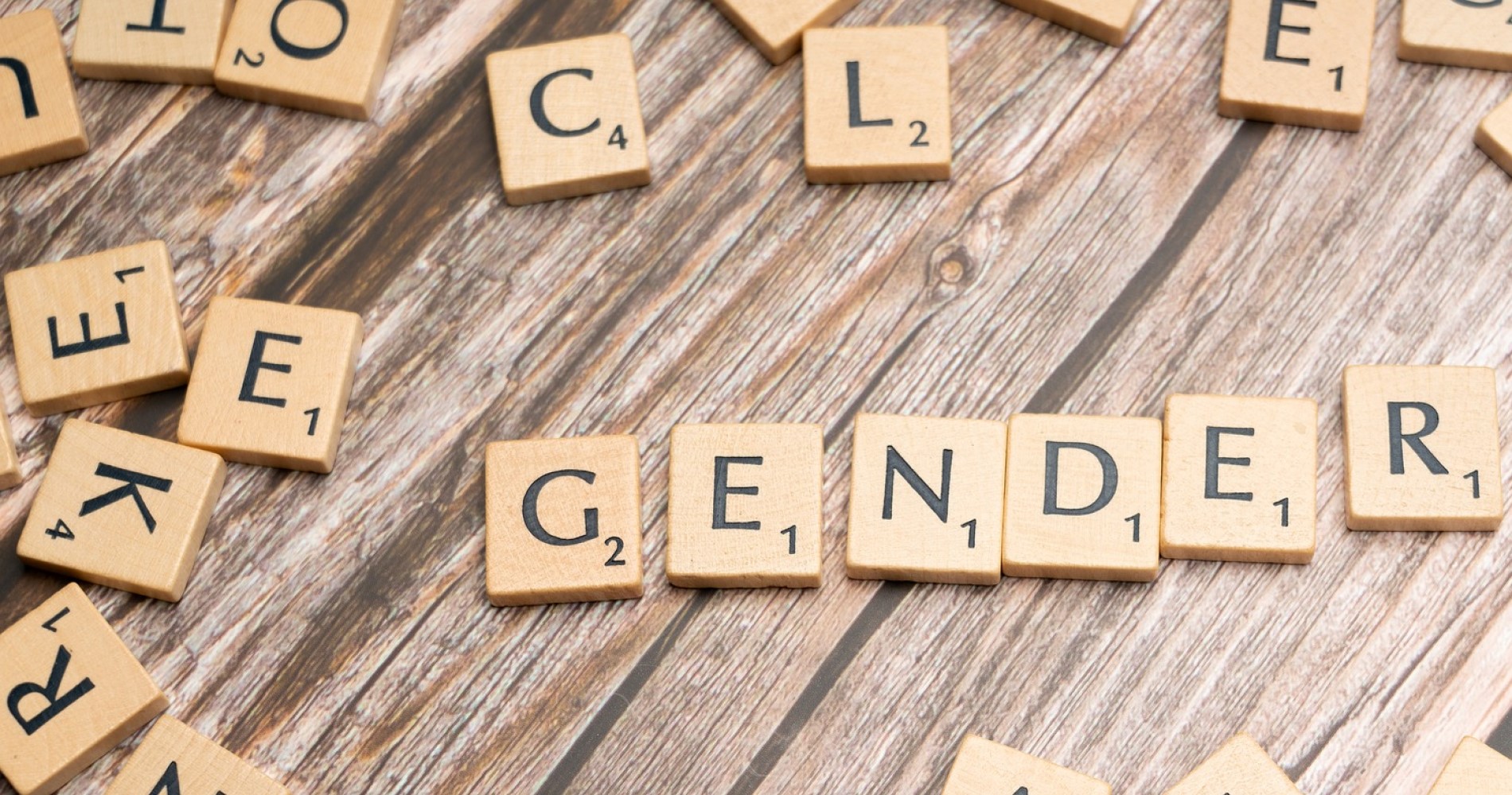 Course Image PolZB020 : Politika un dzimte 